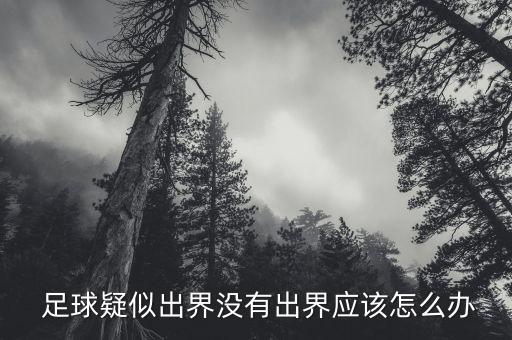  足球疑似出界沒(méi)有出界應(yīng)該怎么辦