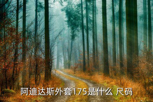 阿迪達(dá)斯外套175是什么 尺碼