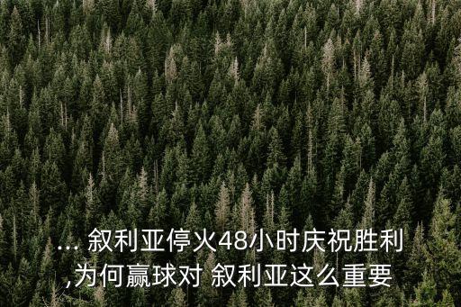 ... 敘利亞?；?8小時慶祝勝利,為何贏球?qū)?敘利亞這么重要