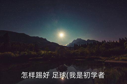 怎樣踢好 足球(我是初學者