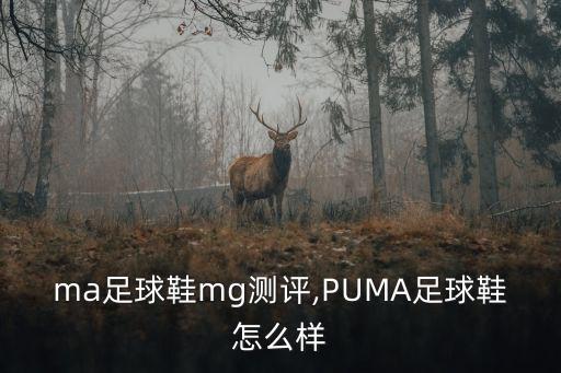 ma足球鞋mg測評,PUMA足球鞋怎么樣