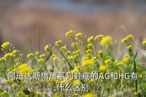 足球鞋hg ag之爭,阿迪達(dá)斯足球鞋hg和ag的區(qū)別