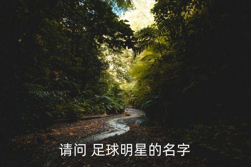 請(qǐng)問(wèn) 足球明星的名字