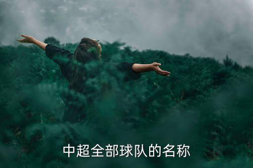 中超全部球隊的名稱