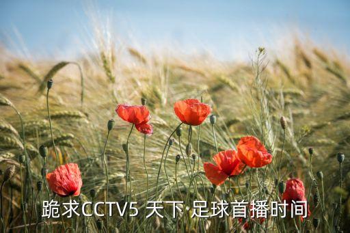 跪求CCTV5 天下 足球首播時(shí)間