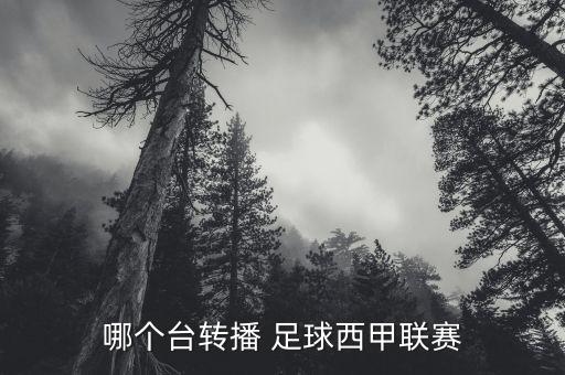 哪個(gè)臺(tái)轉(zhuǎn)播 足球西甲聯(lián)賽