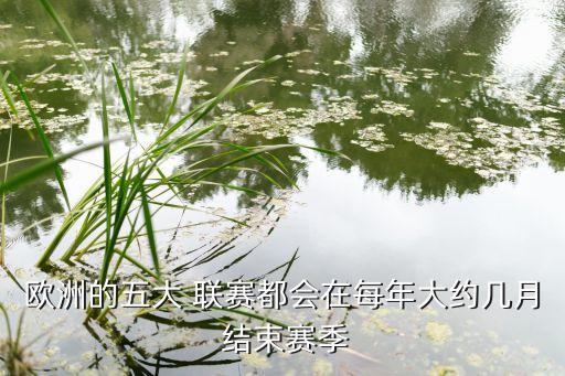 歐洲的五大 聯(lián)賽都會在每年大約幾月 結(jié)束賽季