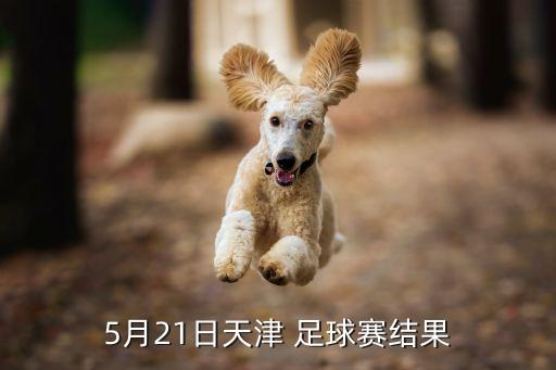 5月21日天津 足球賽結(jié)果