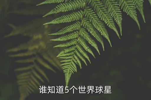 誰知道5個(gè)世界球星