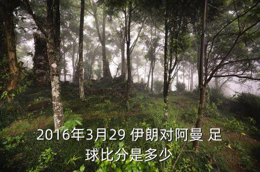 2016年3月29 伊朗對(duì)阿曼 足球比分是多少