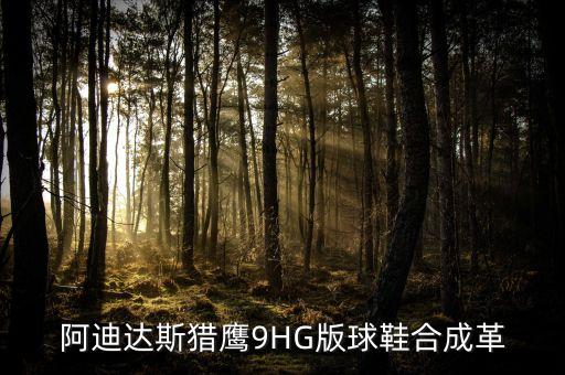 阿迪達(dá)斯獵鷹9HG版球鞋合成革