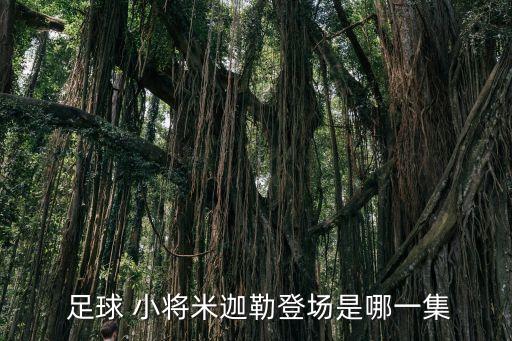  足球 小將米迦勒登場(chǎng)是哪一集