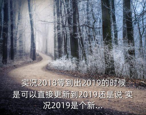  實(shí)況2018等到出2019的時(shí)候是可以直接更新到2019還是說(shuō) 實(shí)況2019是個(gè)新...