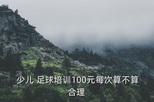  少兒 足球培訓(xùn)100元每次算不算合理