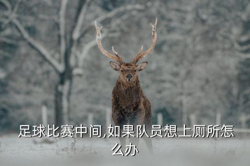  足球比賽中間,如果隊(duì)員想上廁所怎么辦