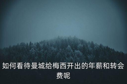 如何看待曼城給梅西開(kāi)出的年薪和轉(zhuǎn)會(huì)費(fèi)呢