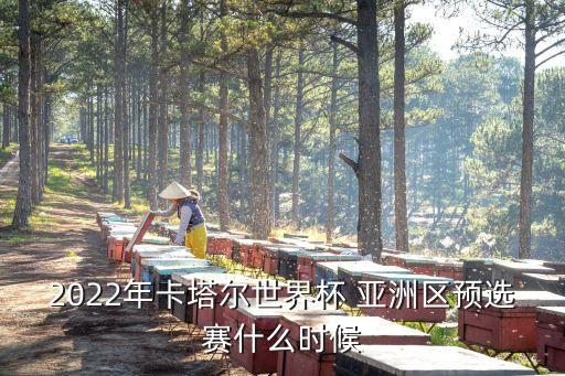 2022年卡塔爾世界杯 亞洲區(qū)預(yù)選賽什么時(shí)候