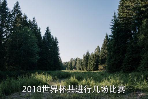 2018世界杯共進(jìn)行幾場比賽