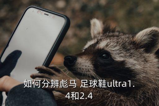 如何分辨彪馬 足球鞋ultra1.4和2.4