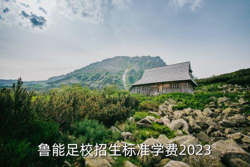 團(tuán)購山東魯能泰山足球票,山東魯能泰山足球?qū)W校招生簡章