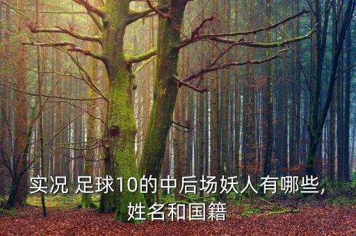 實(shí)況 足球10的中后場(chǎng)妖人有哪些,姓名和國(guó)籍