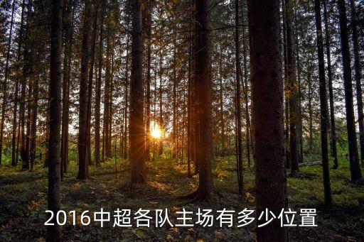 2016中超各隊(duì)主場(chǎng)有多少位置