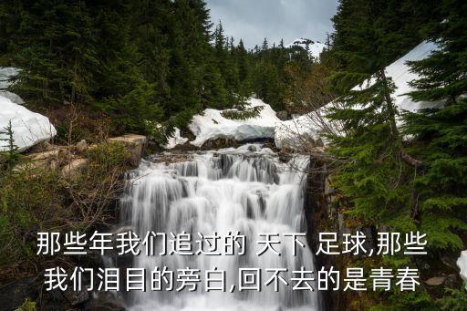 那些年我們追過的 天下 足球,那些我們淚目的旁白,回不去的是青春