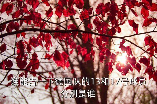 誰能告一下德國隊(duì)的13和17號球員分別是誰