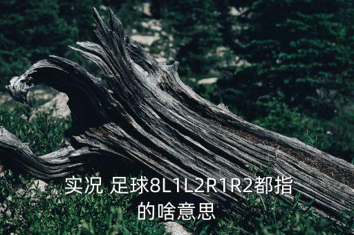  實(shí)況 足球8L1L2R1R2都指的啥意思