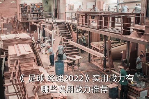 《 足球 經理2022》實用戰(zhàn)力有哪些實用戰(zhàn)力推薦