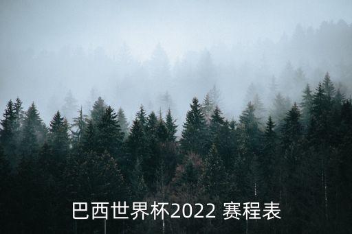 巴西世界杯2022 賽程表