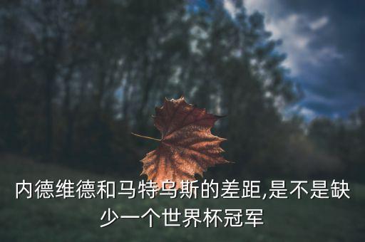 足球轉(zhuǎn)會(huì)拜仁,薩內(nèi)為什么轉(zhuǎn)會(huì)拜仁