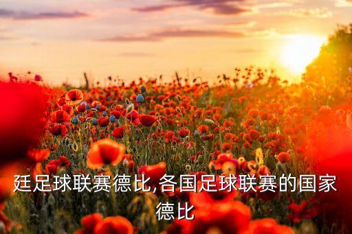 阿根廷足球聯(lián)賽德比,各國足球聯(lián)賽的國家德比