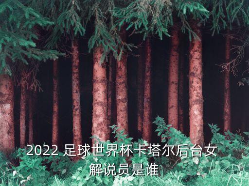 2022 足球世界杯卡塔爾后臺(tái)女 解說(shuō)員是誰(shuí)