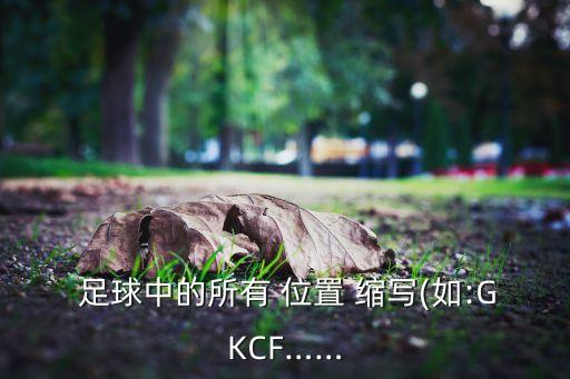  足球中的所有 位置 縮寫(xiě)(如:GKCF……