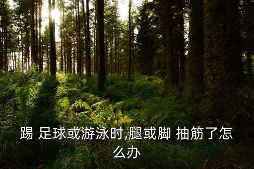 足球隊(duì)員腳抽筋,足球運(yùn)動(dòng)員為什么會(huì)抽筋