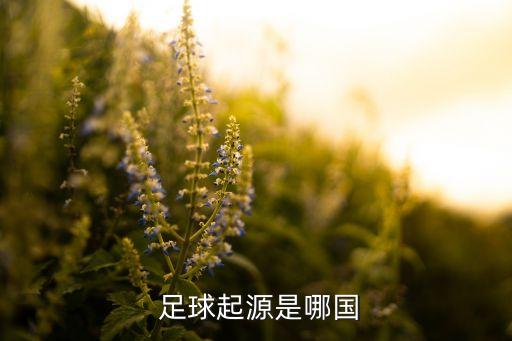 蹴鞠足球公司,蹴鞠和足球有什么相同和不同之處