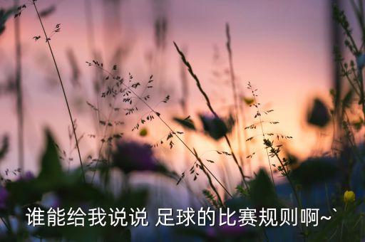 誰能給我說說 足球的比賽規(guī)則啊~`