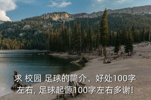 求 校園 足球的簡(jiǎn)介、好處100字左右, 足球起源100字左右多謝!