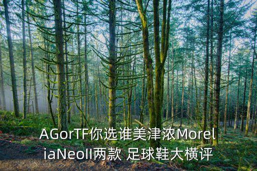 AGorTF你選誰美津濃MoreliaNeoII兩款 足球鞋大橫評