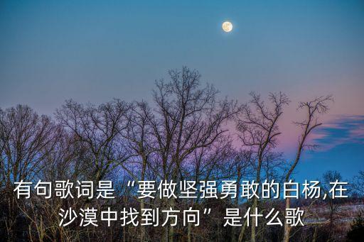 有句歌詞是“要做堅強勇敢的白楊,在沙漠中找到方向”是什么歌