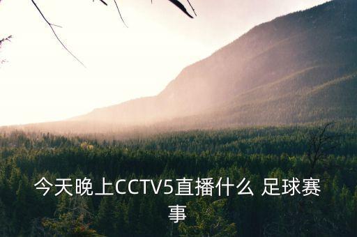 今天晚上CCTV5直播什么 足球賽事