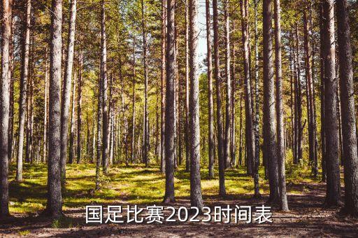 國(guó)足比賽2023時(shí)間表