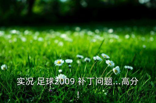 實況 足球2009 補丁問題…高分!