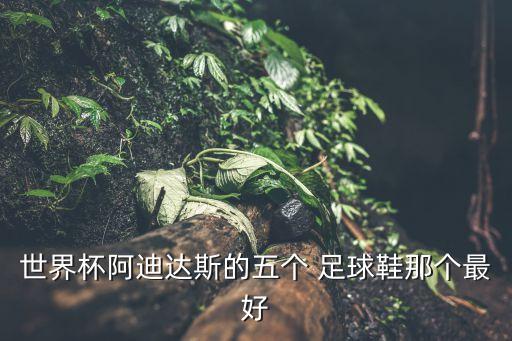 世界杯阿迪達(dá)斯的五個(gè) 足球鞋那個(gè)最好