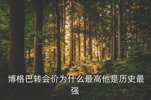  博格巴轉(zhuǎn)會價為什么最高他是歷史最強(qiáng)