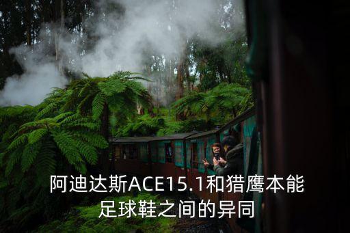  阿迪達(dá)斯ACE15.1和獵鷹本能 足球鞋之間的異同