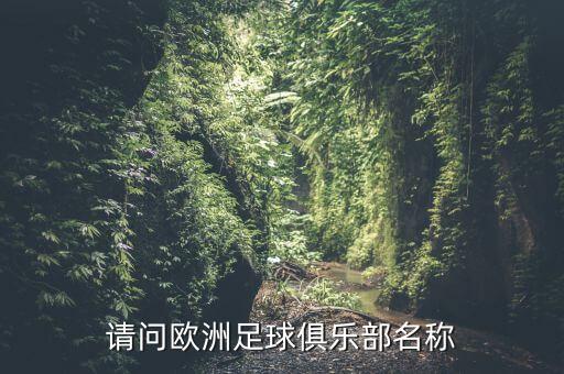 請(qǐng)問歐洲足球俱樂部名稱