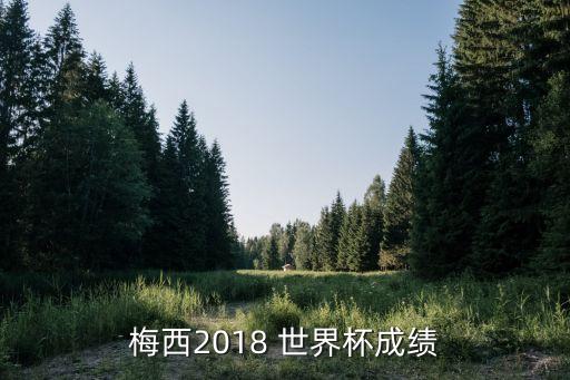 梅西2018 世界杯成績