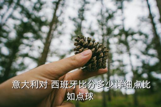  意大利對 西班牙比分多少詳細(xì)點比如點球